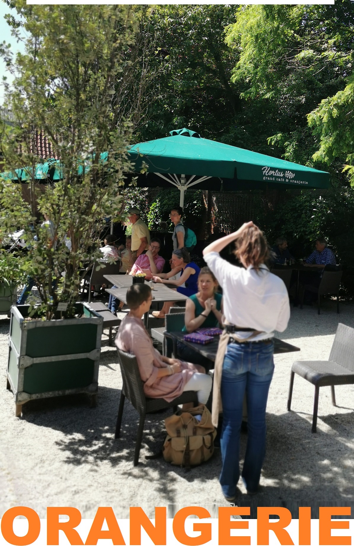 Hortus Botanicus LEIDENcity.EU