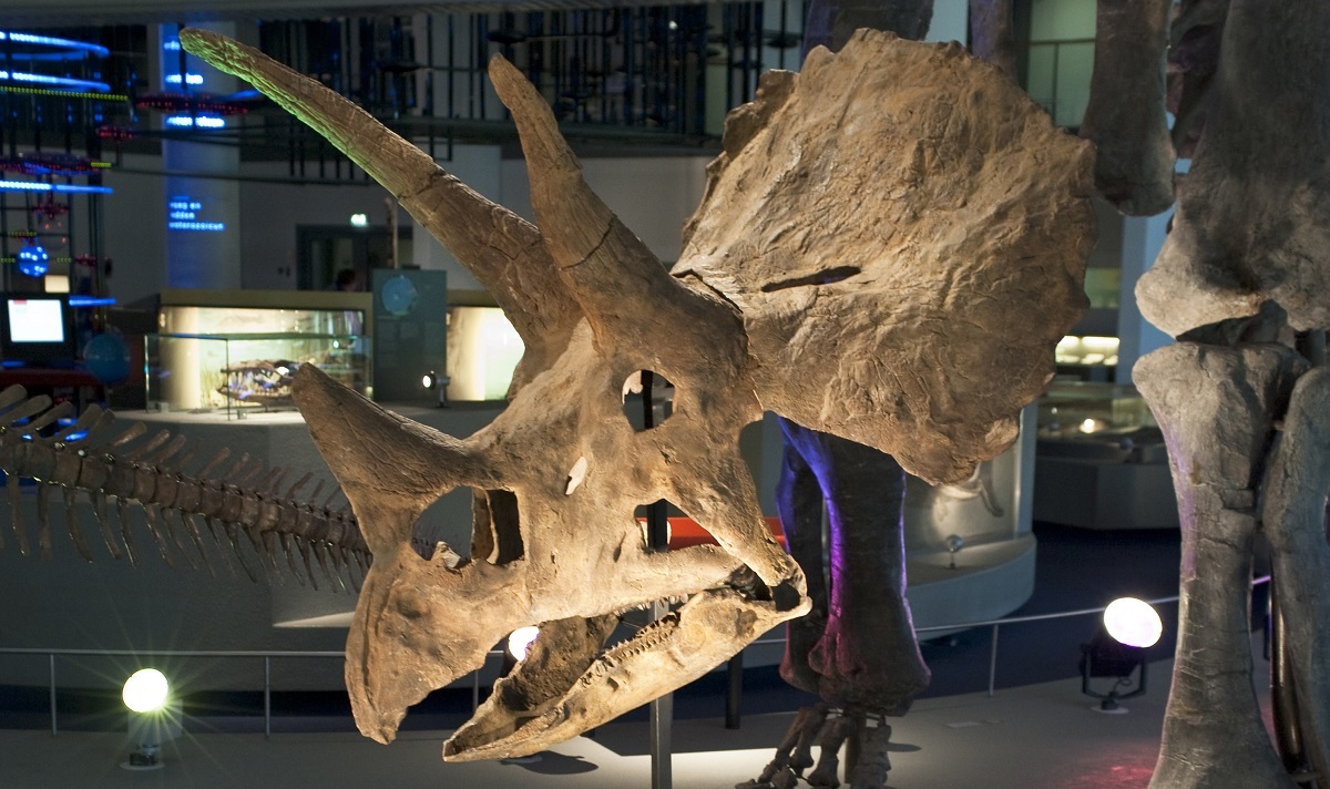 Naturalis Biodiversity center